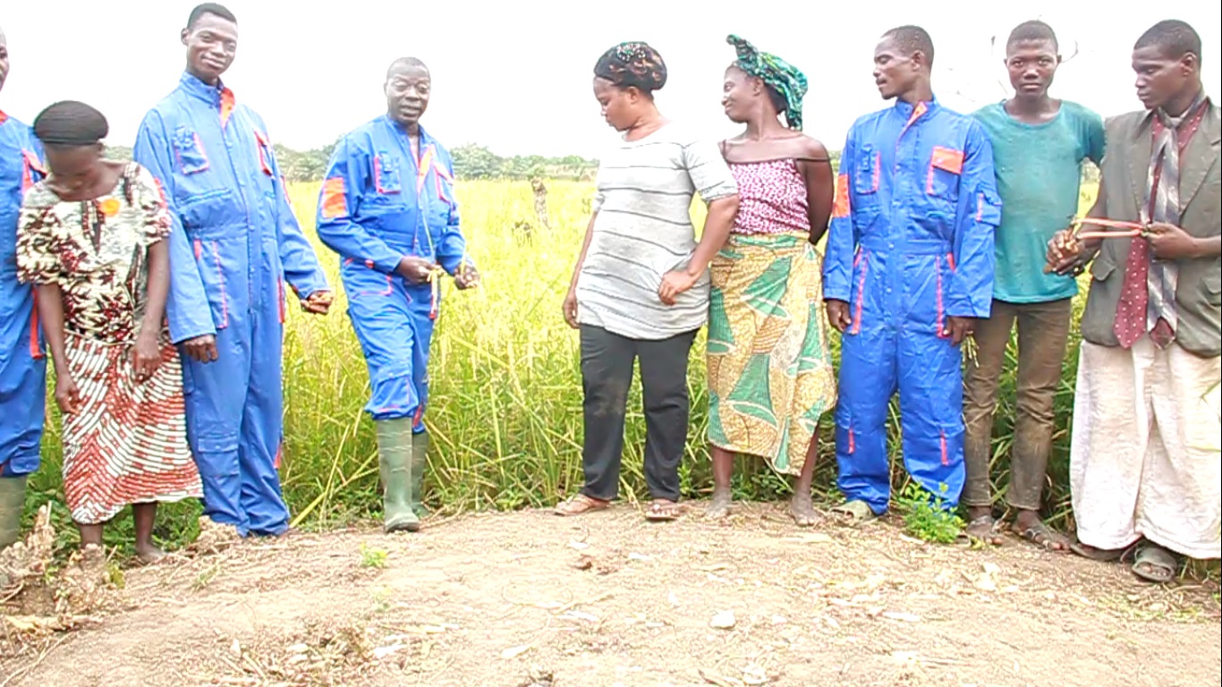Association des producteurs de riz du Bénin